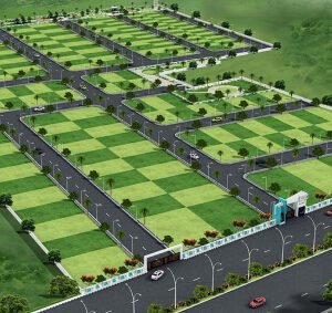 The Green Land, Bawada